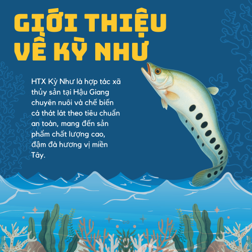 Hợp Tác Xã Kỳ Như